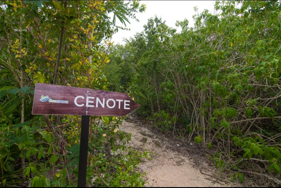 Bosque Sirenis 204 — image 3 of 30