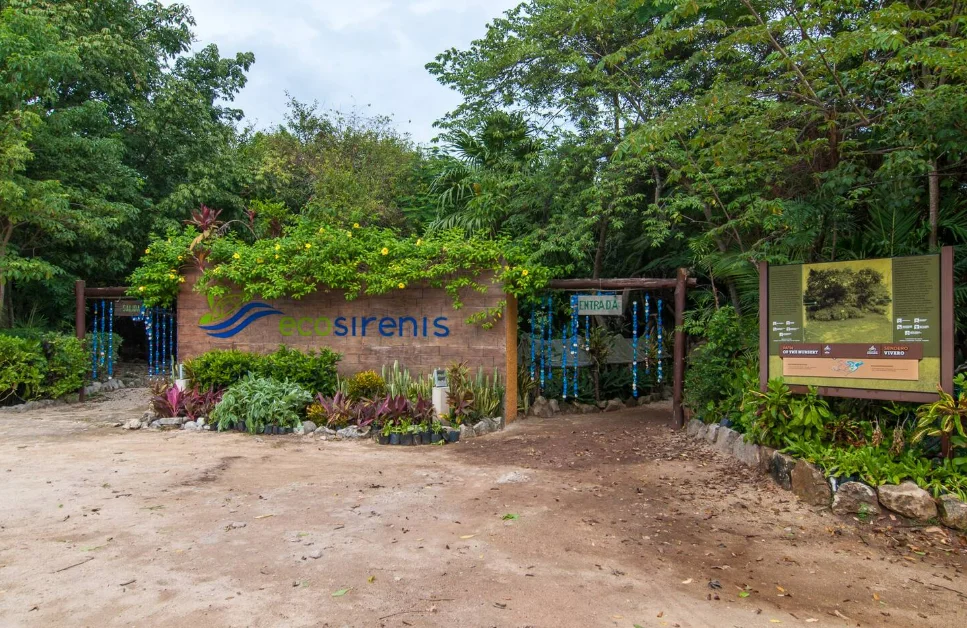 Bosque Sirenis 204 — image 4 of 30