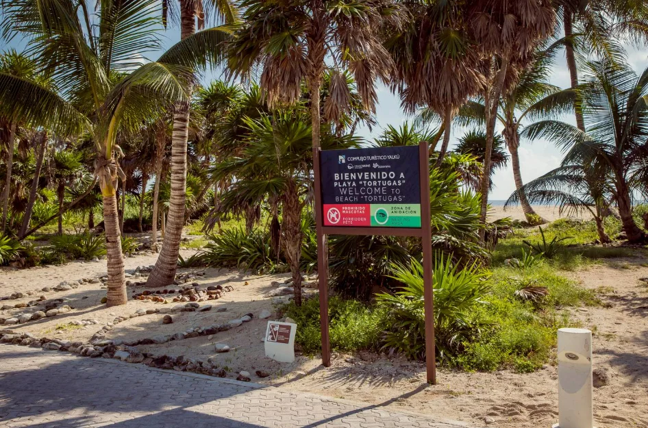 Bosque Sirenis 204 — image 6 of 30