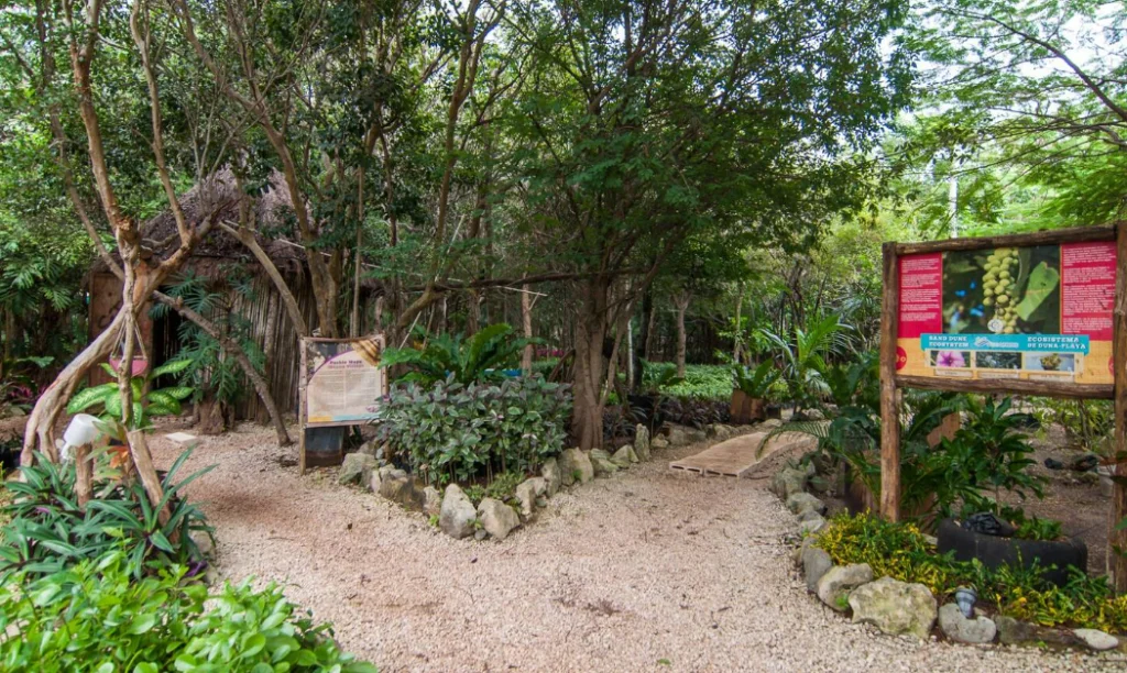 Bosque Sirenis 204 — image 30 of 30