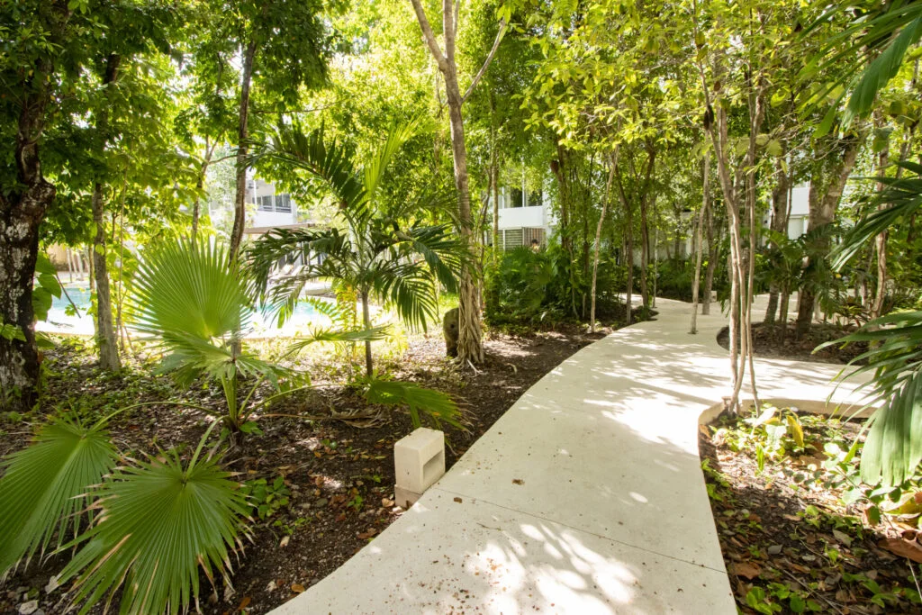 Tao Tulum 311 — image 9 of 28
